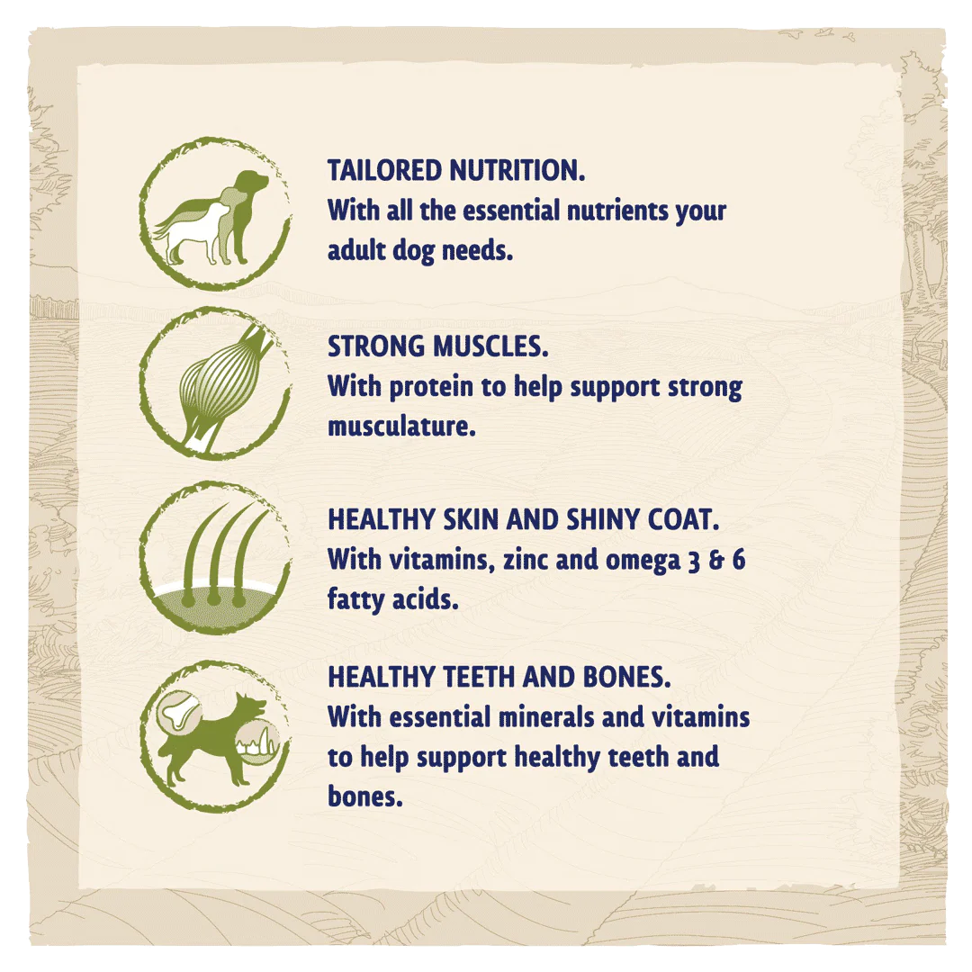 Beta Adult Turkey and Lamb Dry Dog Food