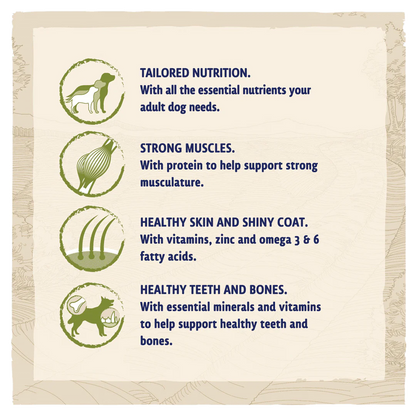 Beta Adult Turkey and Lamb Dry Dog Food
