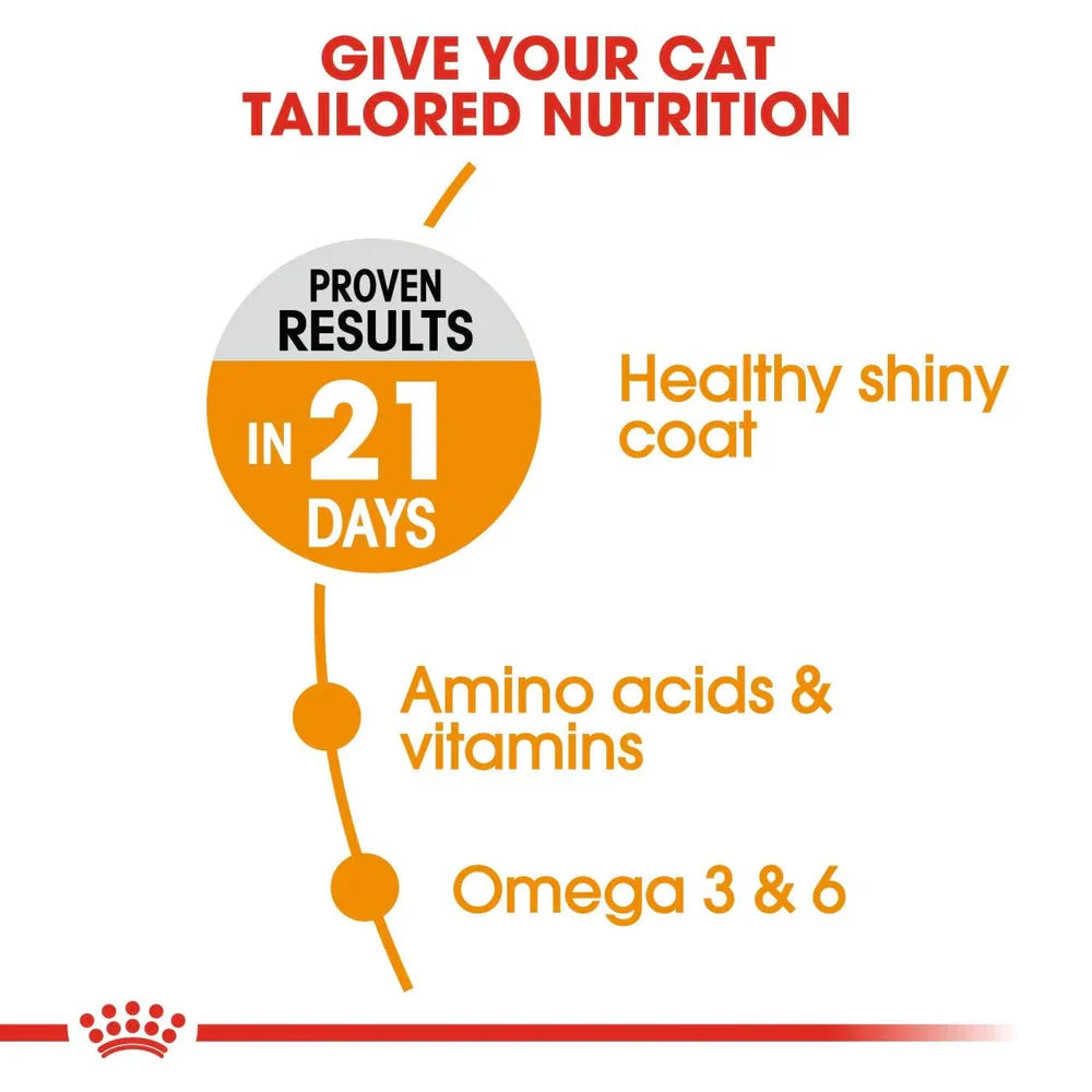 Royal Canin Adult Hair & Skin Care Dry Cat Food