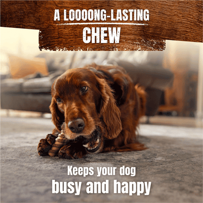 Adventuros Wild Chew Medium Venison Dog Treats 200g