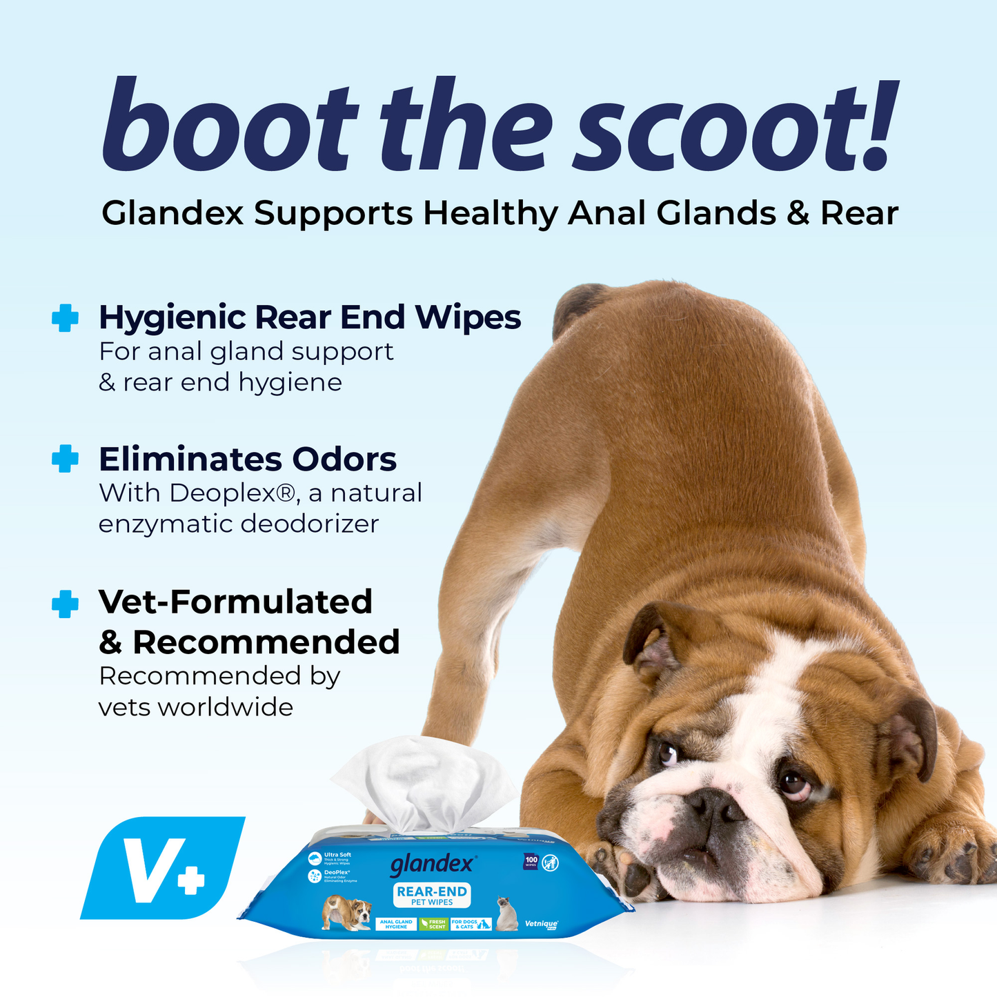 Vetnique Labs Glandex Anal Gland Hygienic Pet Wipes 75 Count