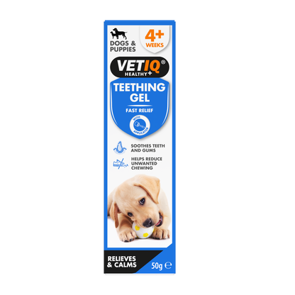 VetiQ Teething Gel for Puppies 50g