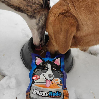 DoggyRade Isotonic Drink For Pets 500ml