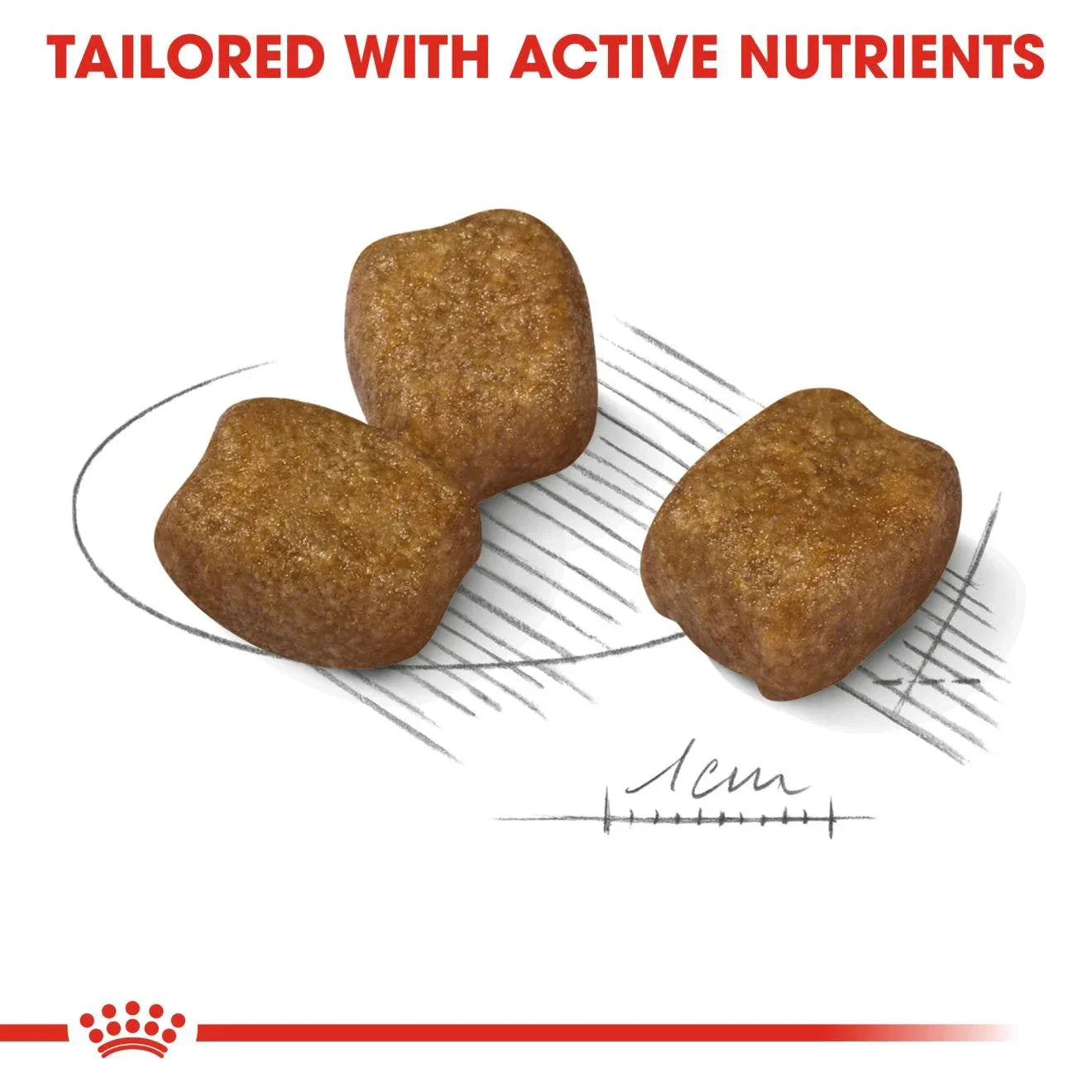 Royal Canin Adult Mini Dental Care Dry Dog Food