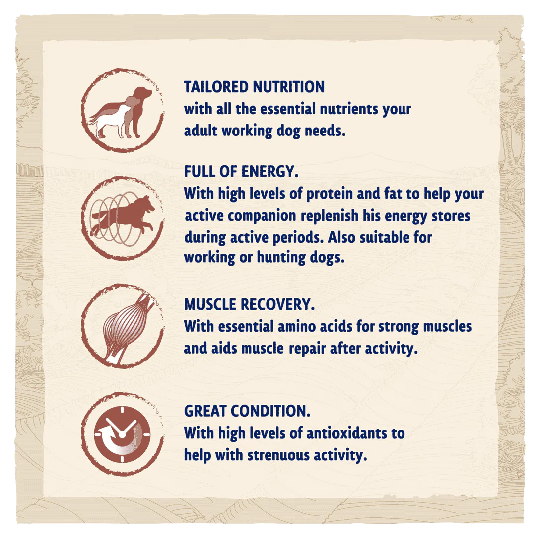 Beta Adult Working Chicken Dry Dog Food 14kg