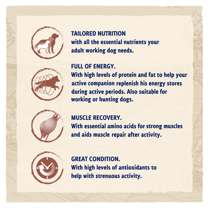 Beta Adult Working Chicken Dry Dog Food 14kg