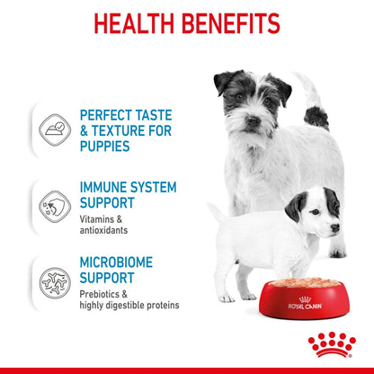 Royal Canin Mother & Babydog Starter Ultra Soft Mousse Wet Dog Food 195g