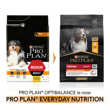 Pro Plan Adult Medium Everyday Nutrition Chicken Dry Dog Food