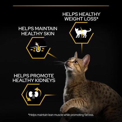 Pro Plan Adult Light Turkey Dry Cat Food 3kg
