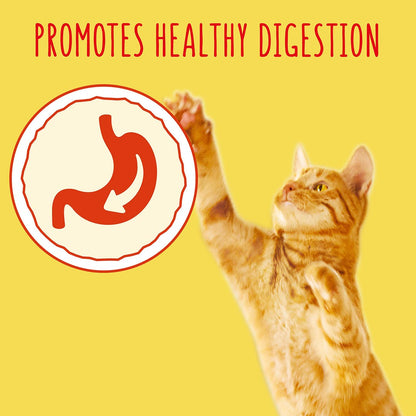 Go Cat Adult Chicken and Duck Dry Cat Food