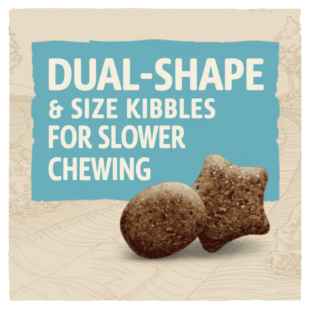 Beta Puppy Large Breed Turkey Dry Dog Food