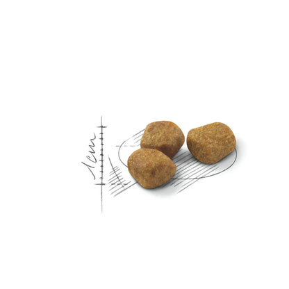 Royal Canin Mature Indoor 7+ Dry Cat Food