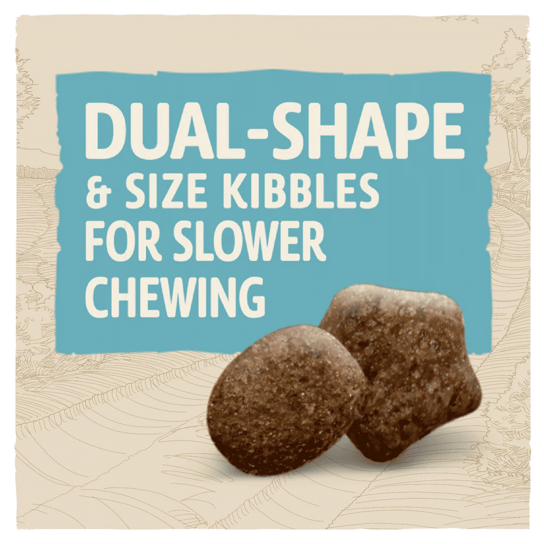 Beta Puppy Chicken Dry Dog Food