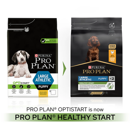 Pro Plan Large Athletic Puppy Healthy Start Chicken Dry Dog Food