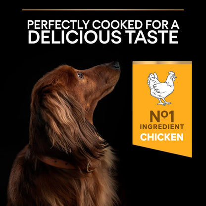 Pro Plan Adult Small and Mini Everyday Nutrition Chicken Dry Dog Food