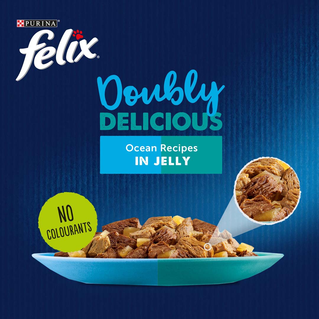 Felix Adult Doubly Delicious Ocean Recipes Wet Cat Food 12 x 100g