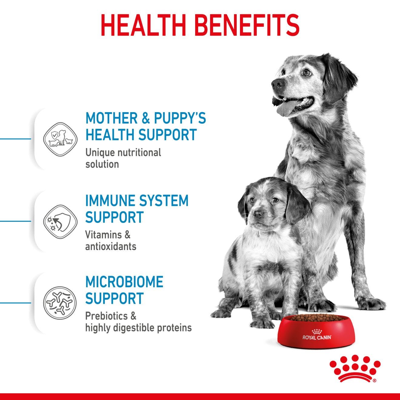 Royal Canin Mother & Babydog Medium Starter Dry Dog Food