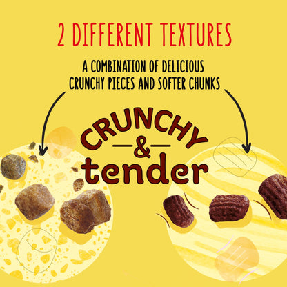 Go Cat Crunchy and Tender Kitten Chicken Dry Cat Food 800g
