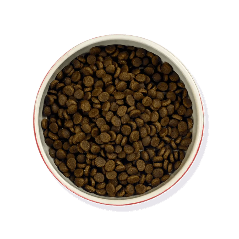 Meowing Heads So Fish Ticated Salmon Dry Cat Food