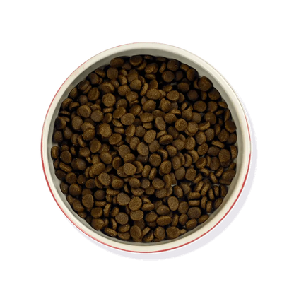 Meowing Heads So Fish Ticated Salmon Dry Cat Food
