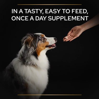 Pro Plan Adult and Senior Natural Defences Dog Supplement 45 Tablets