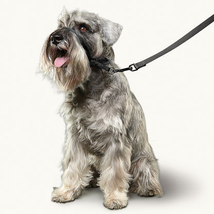 Beaphar Gentle Leader Head Collar for Dogs