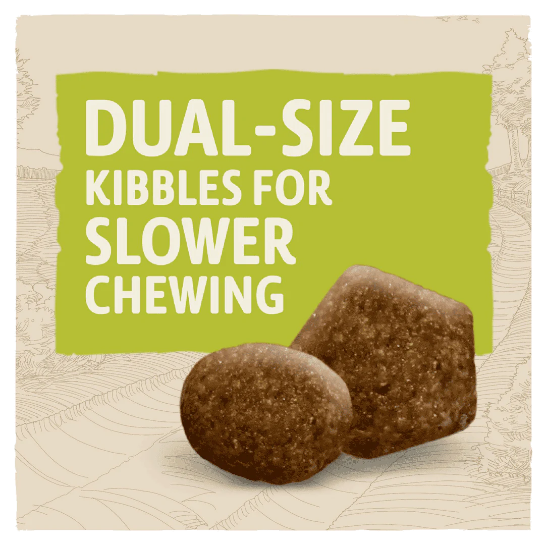Beta Adult Chicken Dry Dog Food
