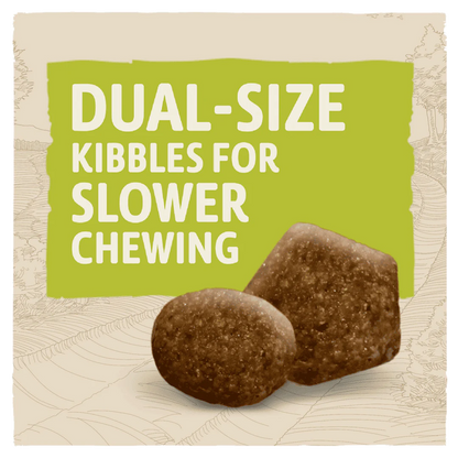 Beta Adult Chicken Dry Dog Food