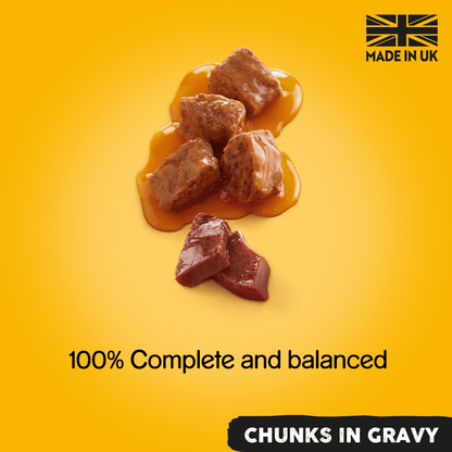 Pedigree Chunks in Gravy with Beef Adult Wet Dog Food 400g