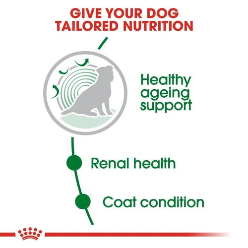 Royal Canin Senior Mini Ageing 12+ Dry Dog Food 1.5kg
