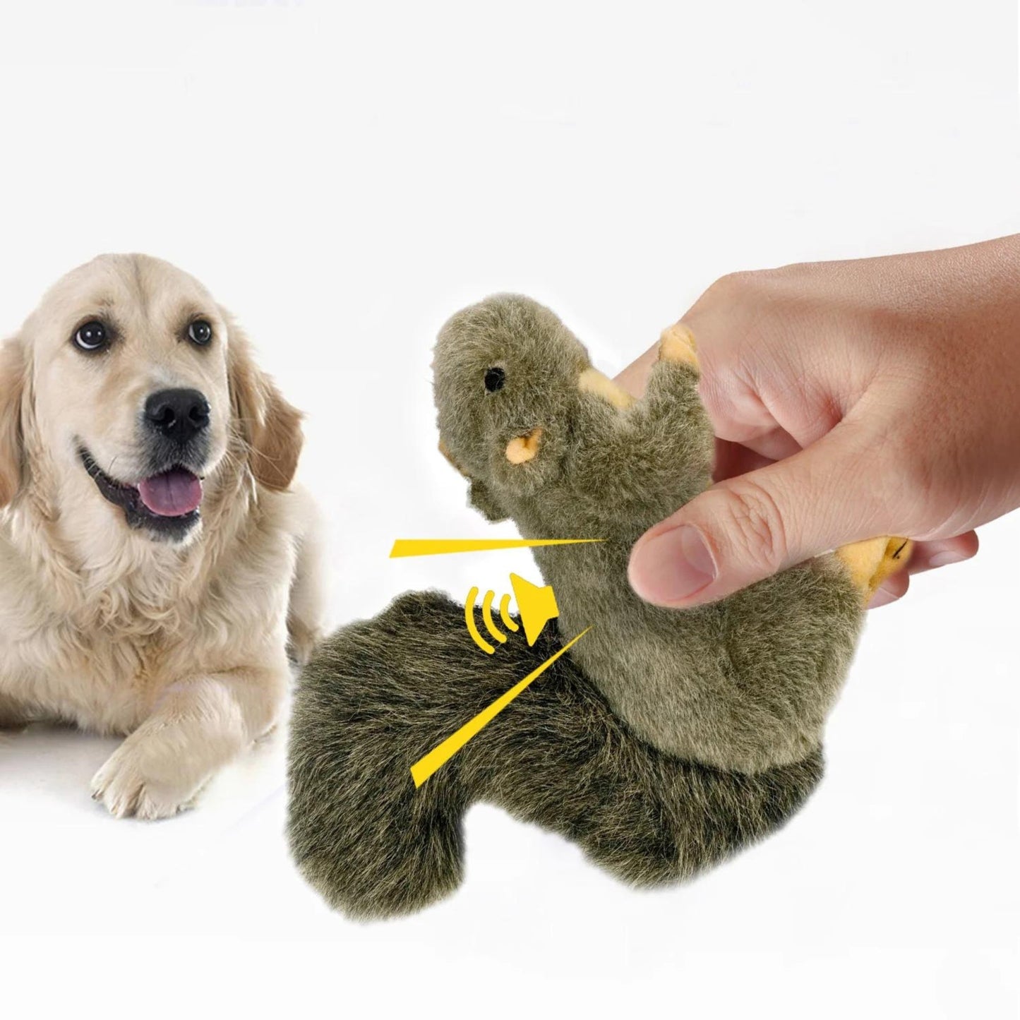 All For Paws Classic Squirrel Large