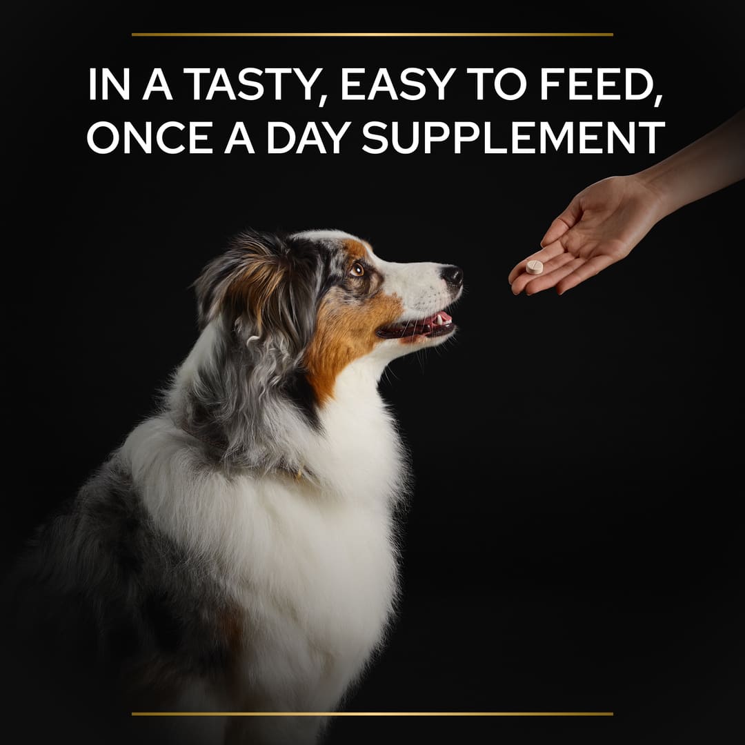Pro Plan Adult and Senior Multivitamins Dog Supplement 90 Tablets