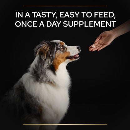 Pro Plan Adult and Senior Multivitamins Dog Supplement 90 Tablets