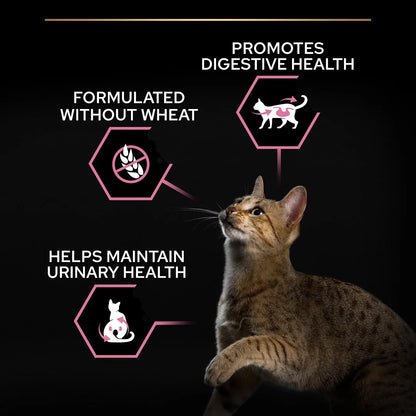 Pro Plan Sterilised Delicate Digestion Chicken Dry Cat Food 3kg