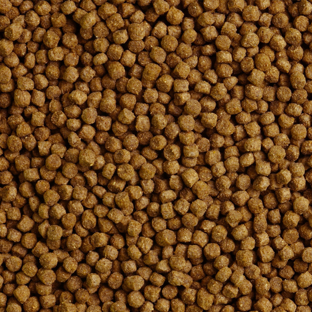 Pettex General Purpose Pond Pellets 3mm 10kg