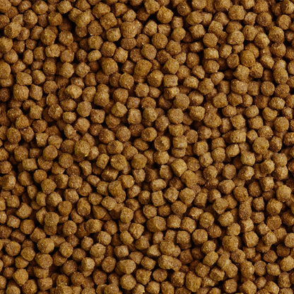 Pettex General Purpose Pond Pellets 3mm 10kg