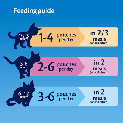 Felix Original Kitten Mixed Selection in Jelly (Chicken, Cod, Lamb, Plaice) Wet Cat Food 12 x 100g