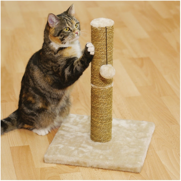 Rosewood Turin Cat Scratchers