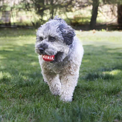 KONG Signature Balls Dog Toy 2pk