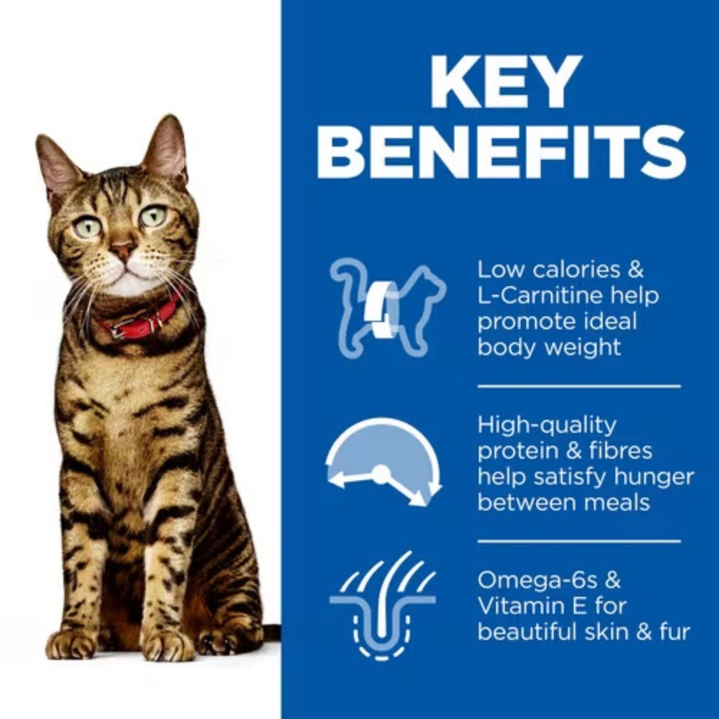 Hill's Science Plan Adult Light with Chicken Dry Cat Food
