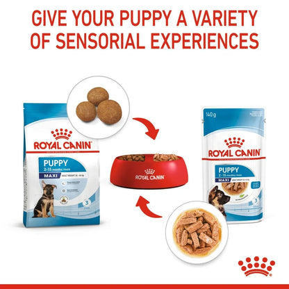 Royal Canin Puppy Maxi Chunks In Gravy Wet Dog Food
