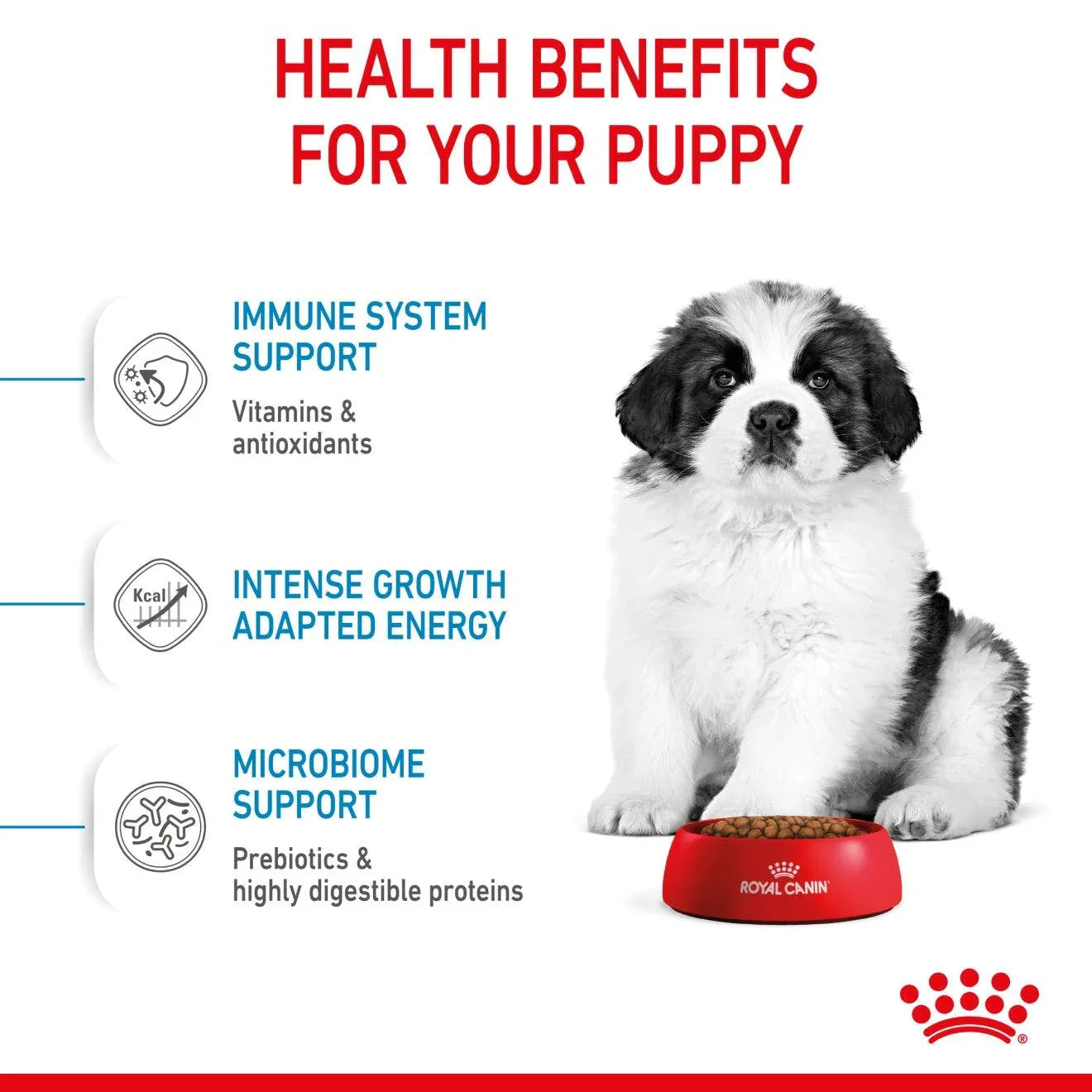 Royal Canin Puppy Giant Dry Dog Food