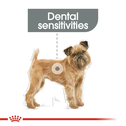 Royal Canin Adult Mini Dental Care Dry Dog Food
