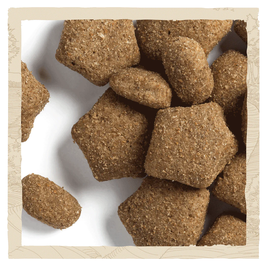 Beta Adult Light Turkey Dry Dog Food
