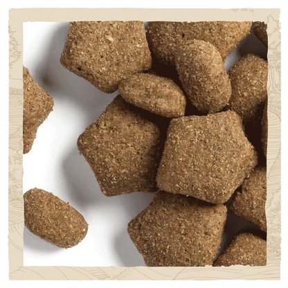 Beta Adult Light Turkey Dry Dog Food