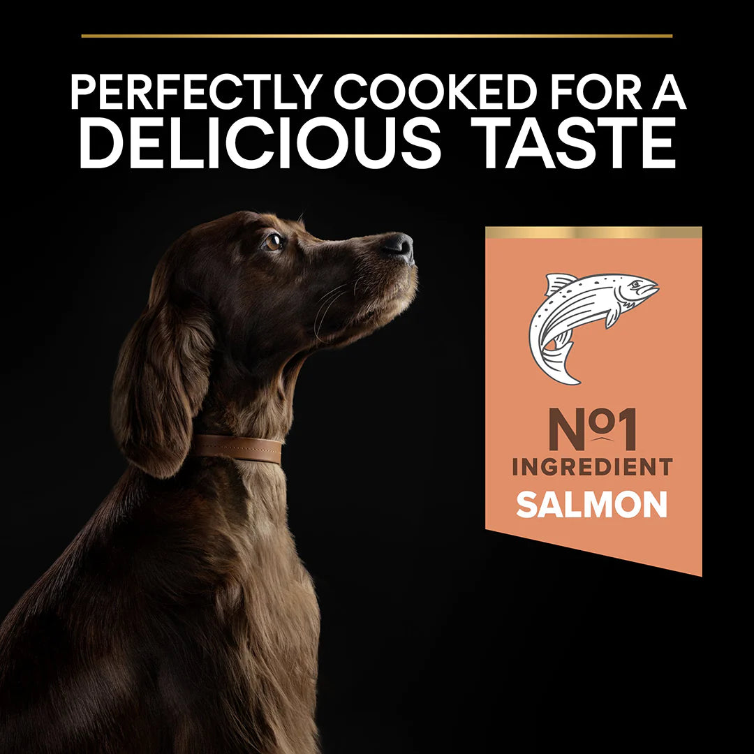 Pro Plan Adult Large Athletic Sensitive Skin Salmon Dry Dog Food 14kg