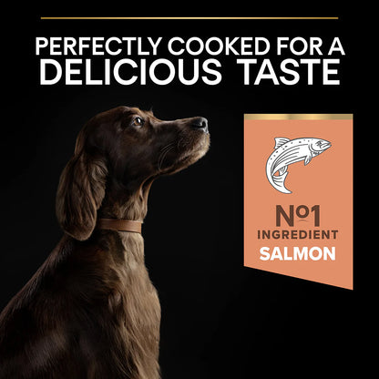 Pro Plan Adult Large Athletic Sensitive Skin Salmon Dry Dog Food 14kg