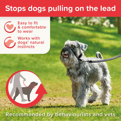 Beaphar Gentle Leader Head Collar for Dogs