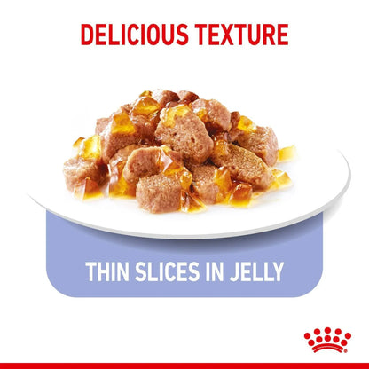 Royal Canin Adult Appetite Control Care Thin Slices In Jelly Wet Cat Food
