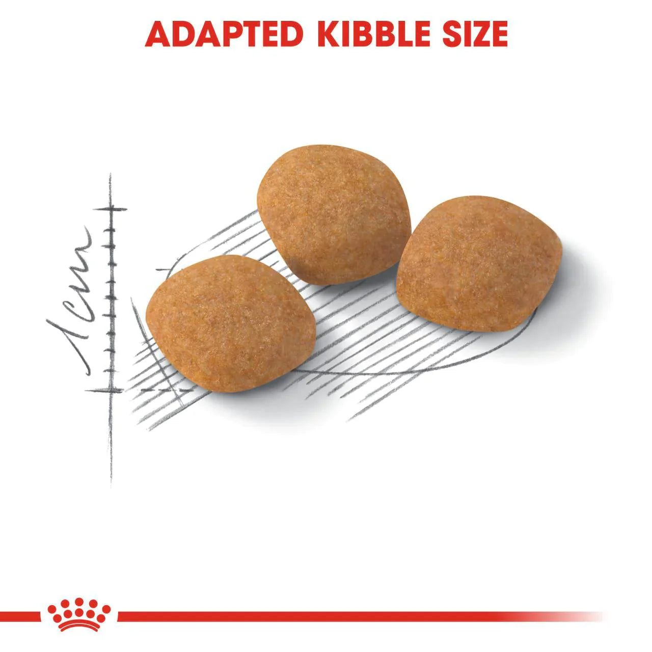 Royal Canin Adult Protein Exigent Dry Cat Food
